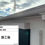 鼻隠し