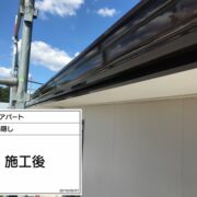 鼻隠し