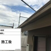 鼻隠し