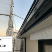 鼻隠し