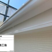 鼻隠し