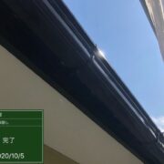 鼻隠し