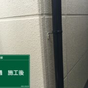 雨樋