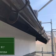 鼻隠し