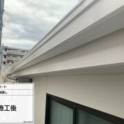 鼻隠し
