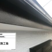 鼻隠し