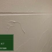 外壁