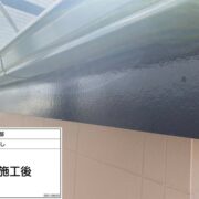 鼻隠し