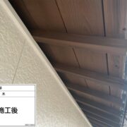 木軒天