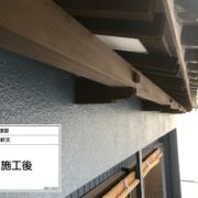 鼻隠し