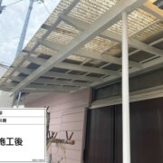 テラス骨