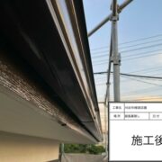 鼻隠し