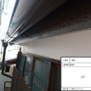 鼻隠し