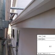 鼻隠し