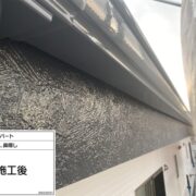 鼻隠し