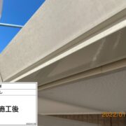 鼻隠し
