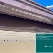 鼻隠し