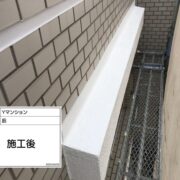 庇
