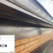 鼻隠し
