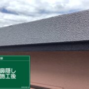 鼻隠し