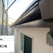 鼻隠し