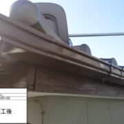 鼻隠し