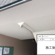 軒天