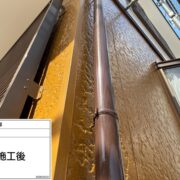 雨樋