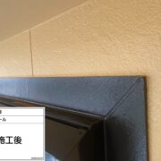 窓モール