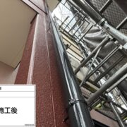 雨樋
