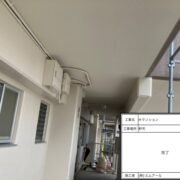 軒天